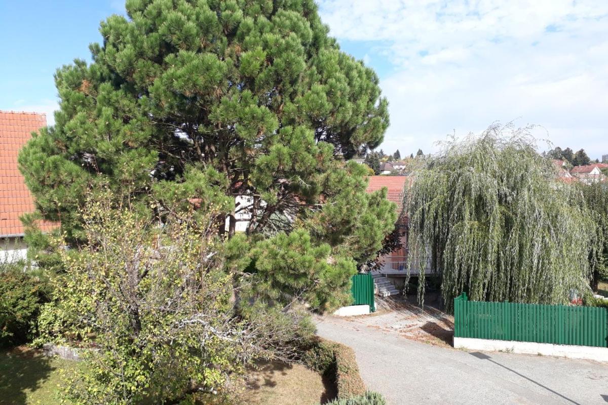Independant A Proximite De Belfort Appartement Essert